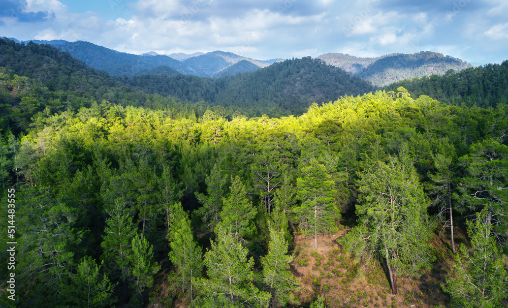 Panorama of Paphos forest, Cyprus. Pine trees over mountains landscape