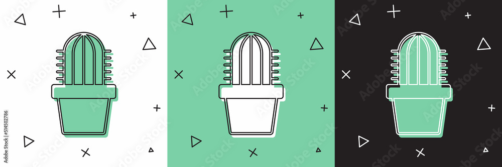 将仙人掌置于白色、绿色、黑色背景上的花盆图标中。植物生长在花盆中。