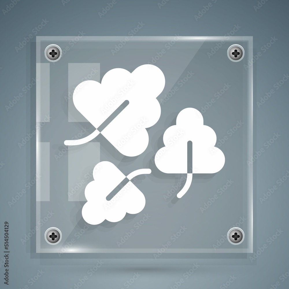 White Oak leaf icon isolated on grey background. Square glass panels. Vector