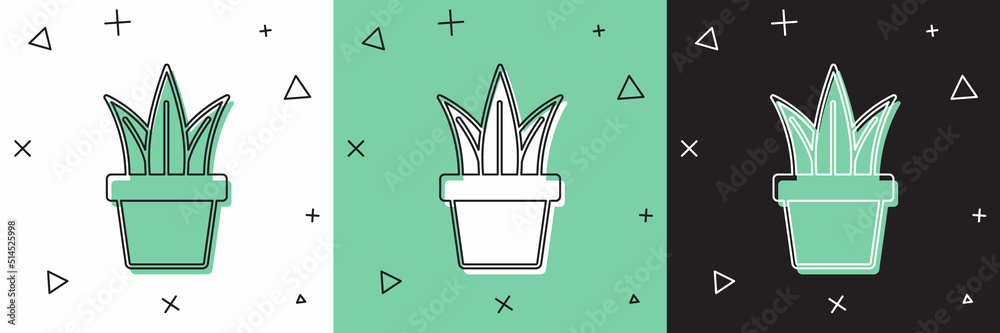 Set Plant in pot icon isolated on white and green, black background. Plant growing in a pot. Potted 