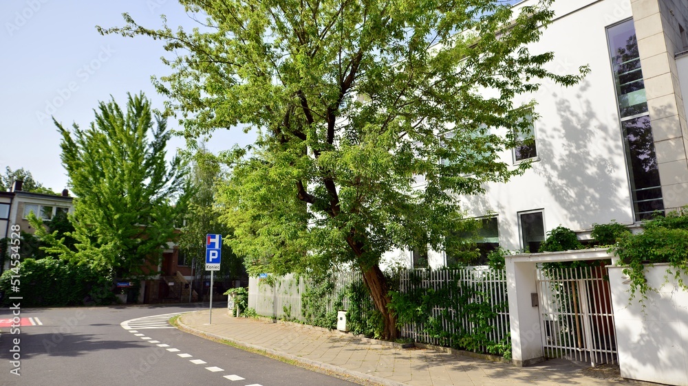 宁静的飞地和小型建筑奇迹的混合区。功能性，美学