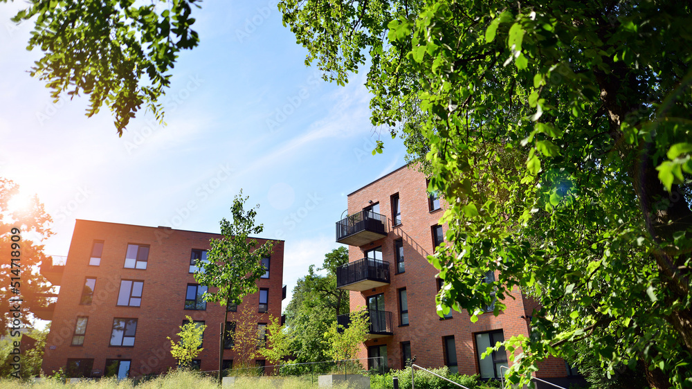 Eco architecture. Green tree and apartment building. The harmony of nature and modernity.