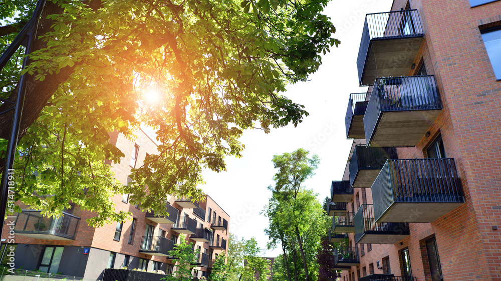 Eco architecture. Green tree and apartment building. The harmony of nature and modernity.