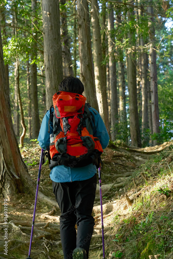 登山する男性の後ろ姿