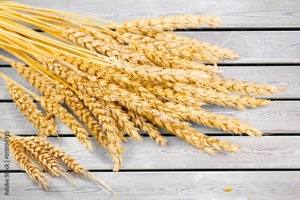 Wheat ears, 
the concept of the Israeli holiday Shavuot