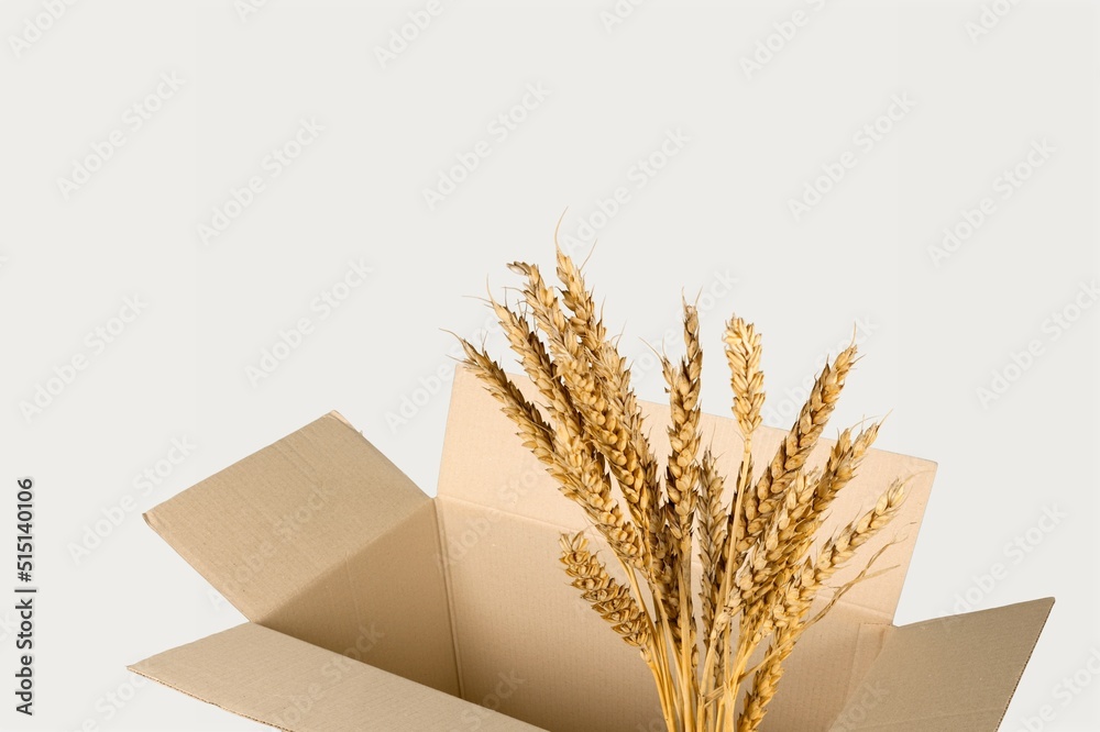 Wheat ears, 
the concept of the Israeli holiday Shavuot