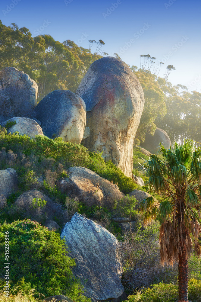 Beautiful landscape plants and trees on the side of a mountain. Summer day outdoors in a bright gree