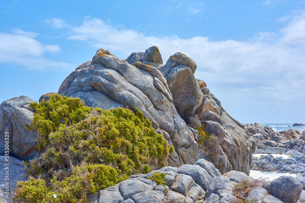 一个多岩石的海岸，有绿色的地衣，海浪冲过海岸。一个有岩石的海岸