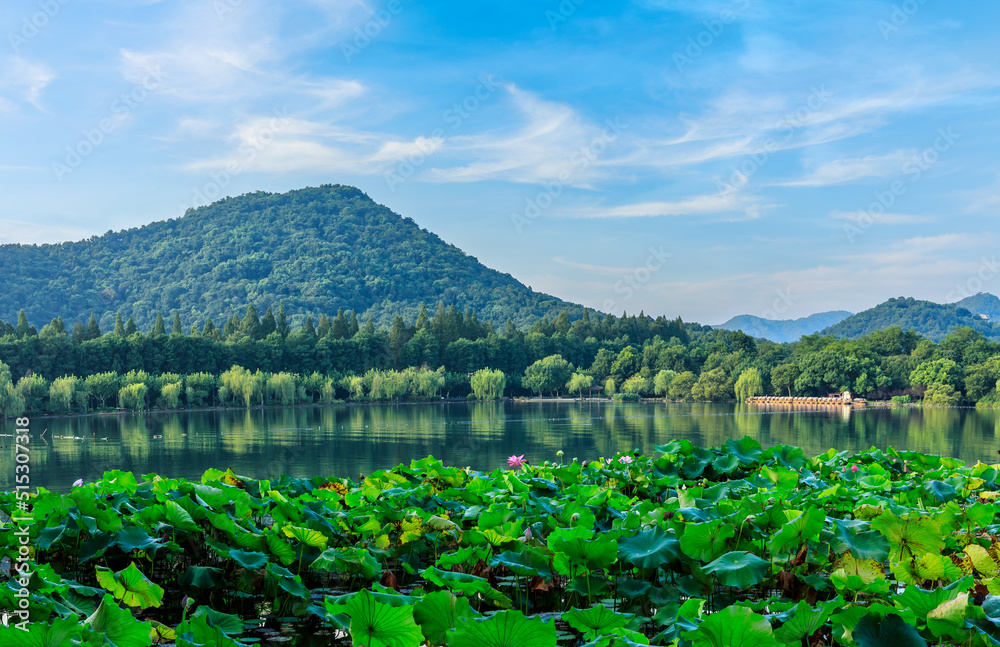 中国杭州美丽的西湖自然景观。