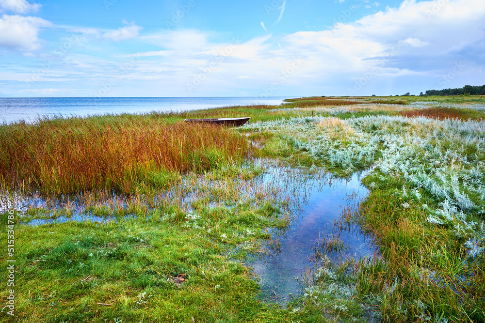 A beautiful greenery field. A view of wild geese flying over a bog on a cloudy horizon. A dreamy nat