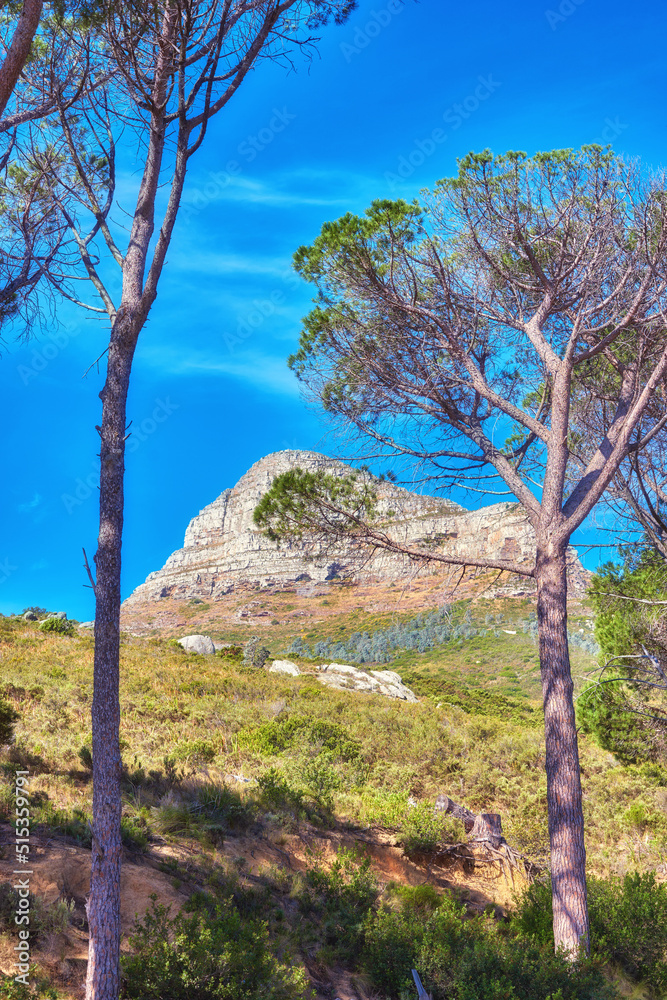 Landscape view, blue sky with copy space of Lions Head mountain in Western Cape, South Africa. Steep