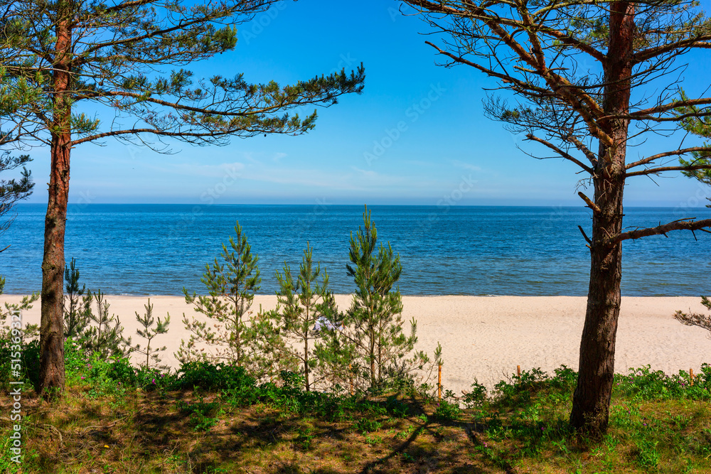 Landscape of the summer beach of the Baltic Sea in Sztutowo, Poland