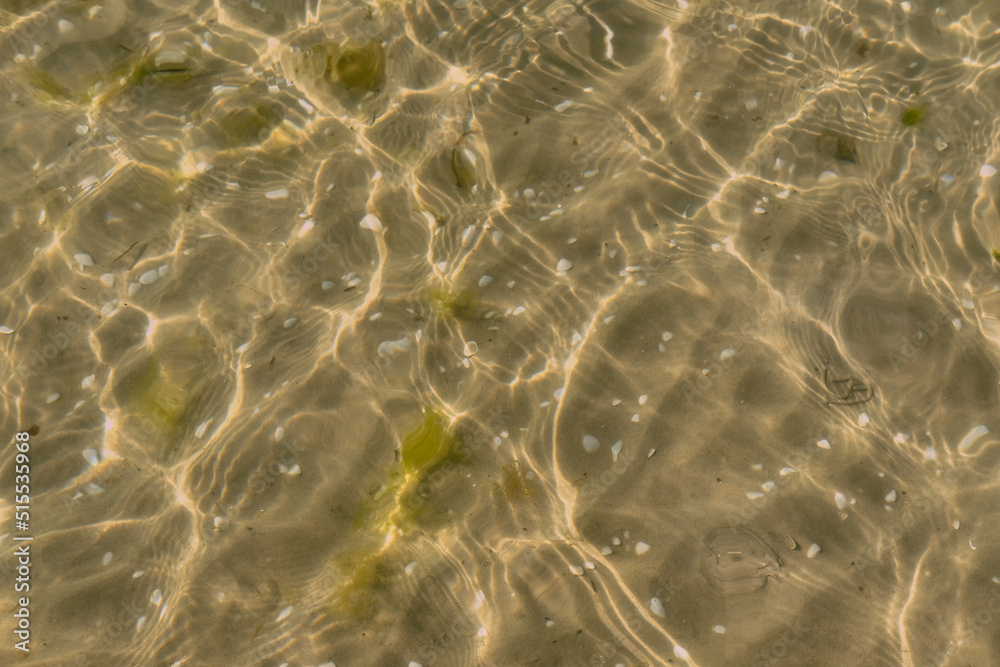 Closeup of shallow sea or beach water with copy space on a sunny day. Sun shining on a sandy lake wi