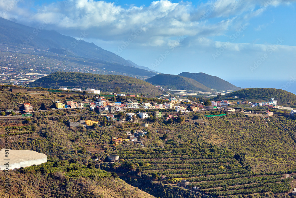 Above landscape view of growing banana plantation farm in Los Llanos, Spain with copy space. Scenic 