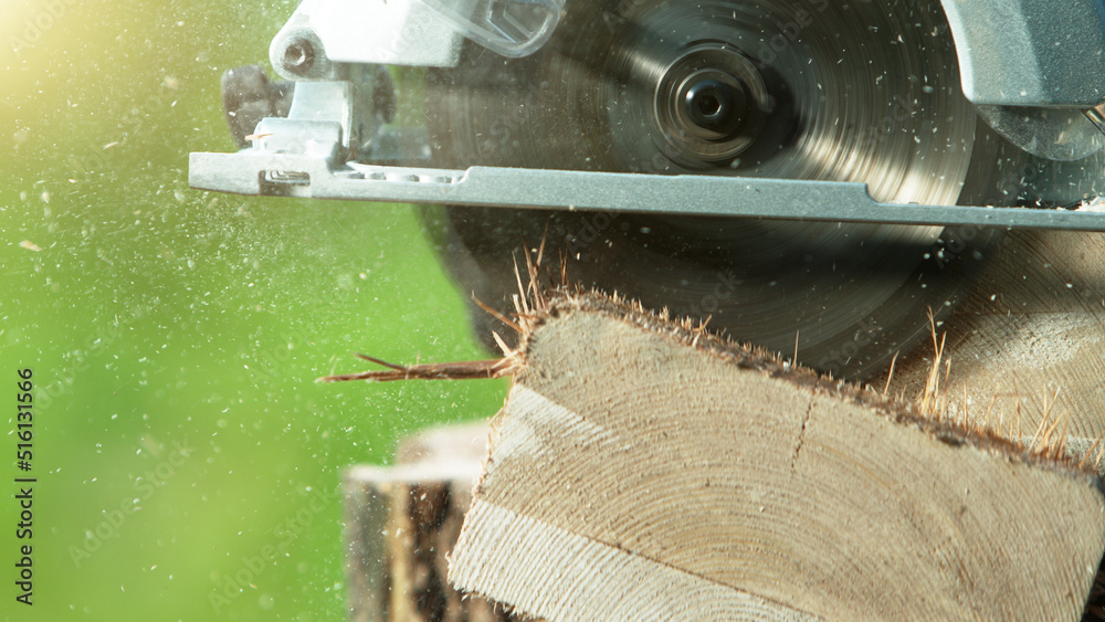 Detail of circular saw saws the timber log.