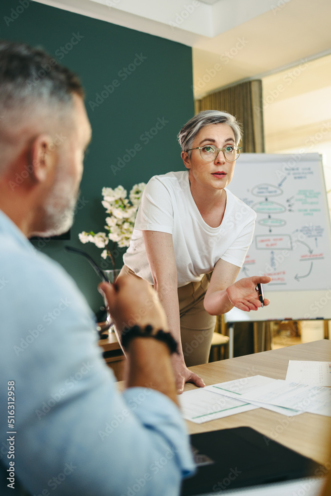 成熟的女商人在董事会主持会议