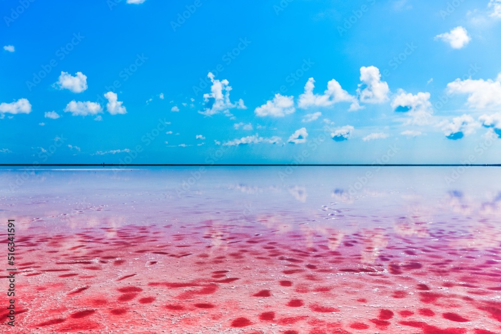 美丽的红色泻湖或盐湖，粉红色的海水富含矿物质