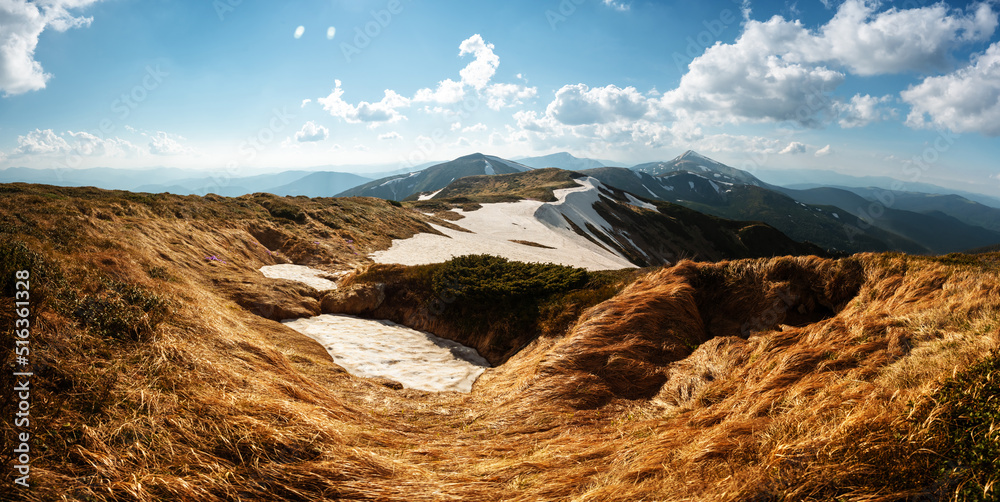 View of the grassy hills with orange tussocks and snowy mountains on background. Dramatic spring sce