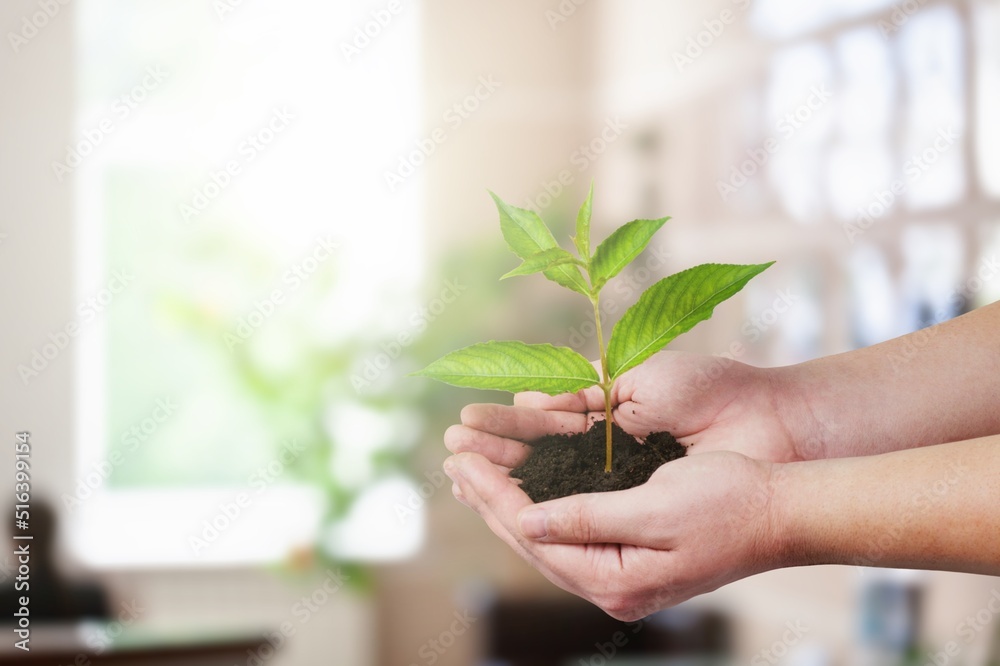 手牵小绿植发芽有土，站着，快乐创业员工成长