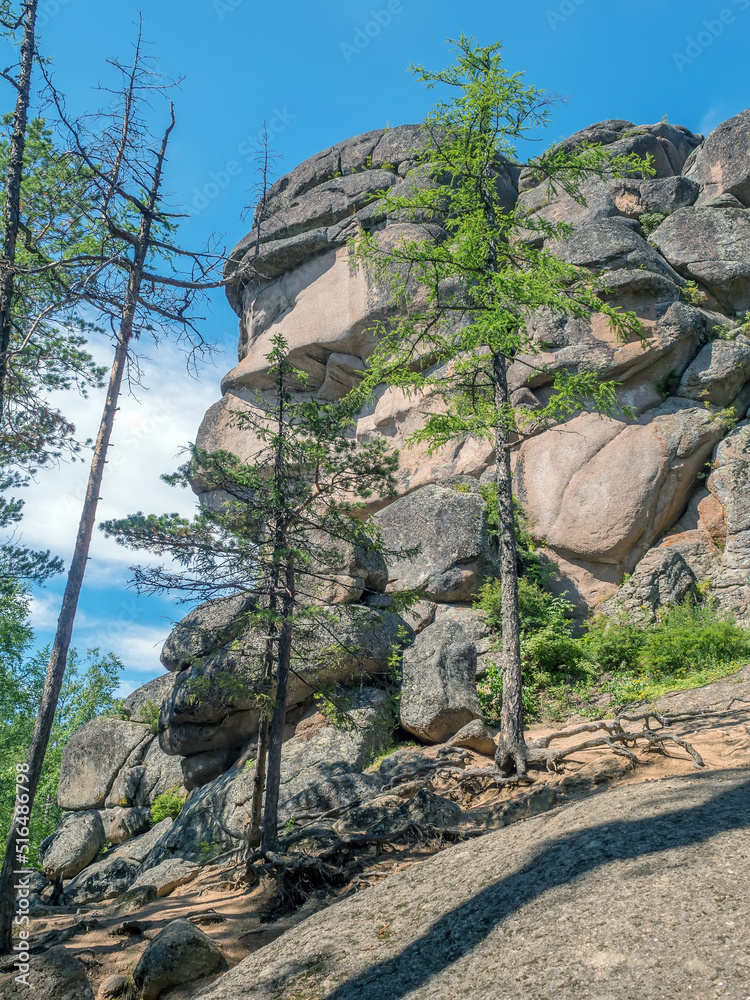 用于高级徒步旅行和登山的高森林岩石。