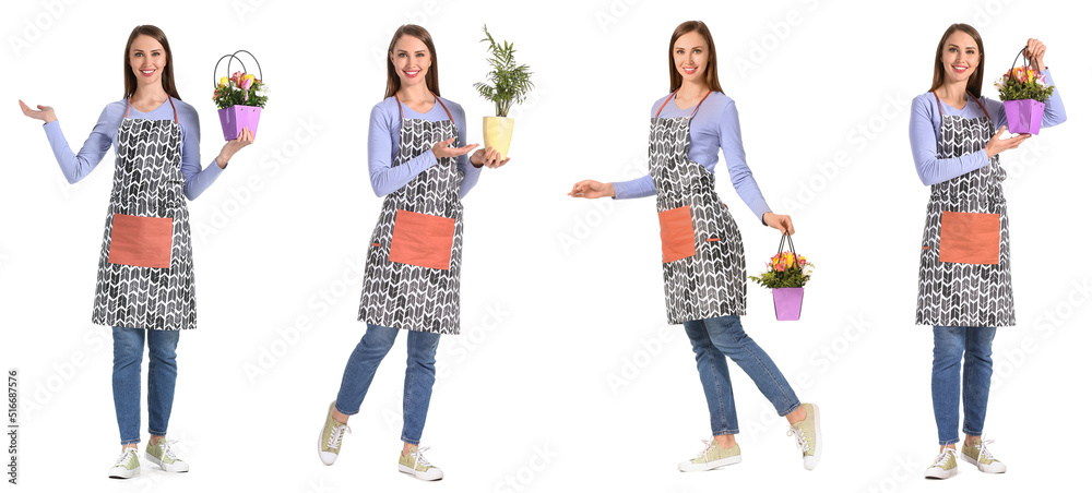 Set of beautiful female florist on white background