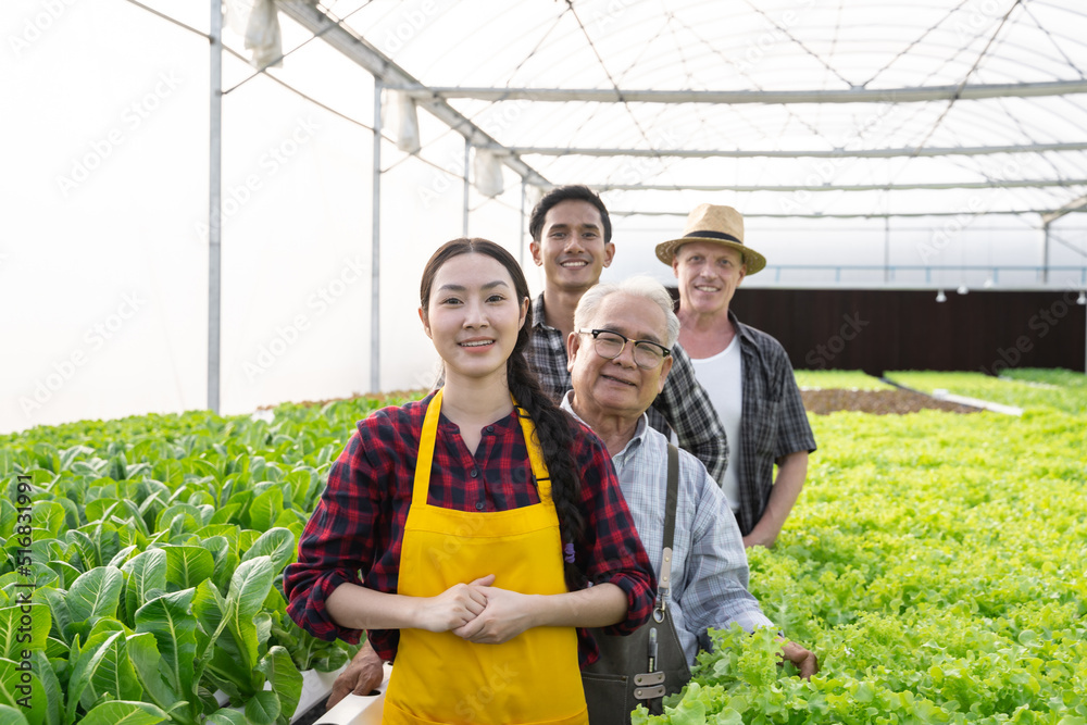 有机蔬菜团队肖像组。水培农场有机新鲜收获蔬菜