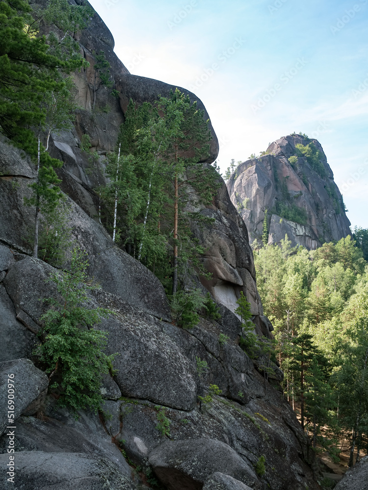 用于高级徒步旅行和登山的高森林岩石。