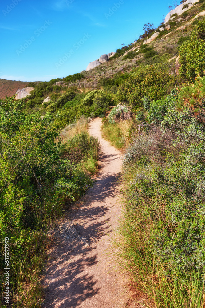 桌山上的偏远山地徒步旅行路线。被灌木丛和tr包围的山地步行道