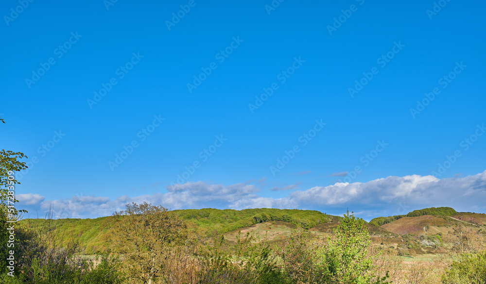 宁静的草地风景，蓝天背景下乌云密布，复制空间。平静