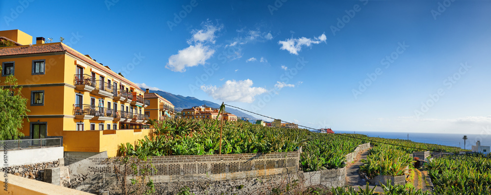 历史悠久的热带城市洛斯利亚诺斯的住宅和公寓景观，拉帕尔马，C