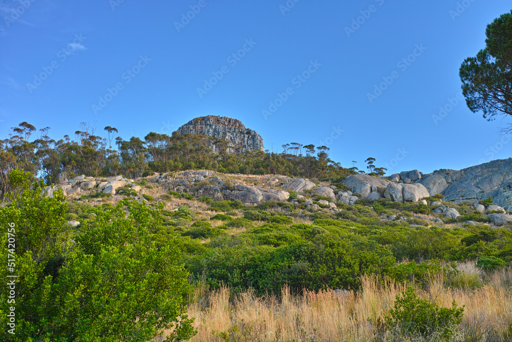 Landscape view of Table Mountain and surroundings during the day in summer. Scenery of a popular nat