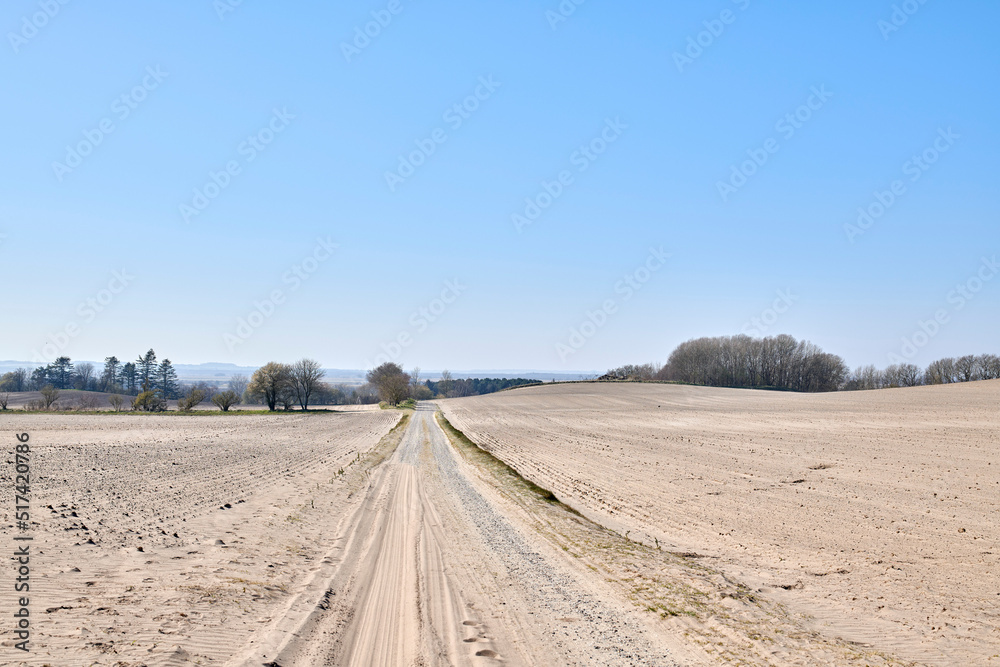 Copy space and beautiful scenic autumn landscape of brown meadow, trees and bushes with a clear blue