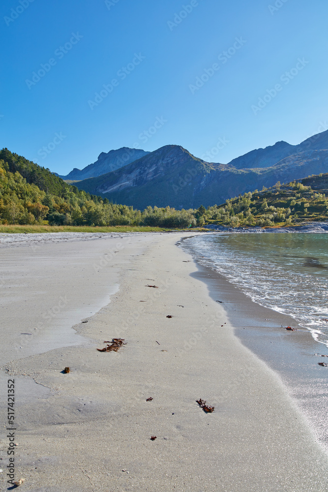 海滩海浪冲刷到空旷而放松的公共海滩上的海景和海景，有森林和莫