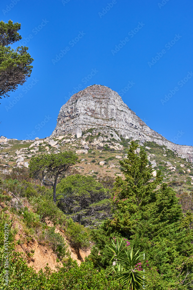 A mountain on a clear day against blue sky background, flowers and Fynbos. Tranquil beauty in nature