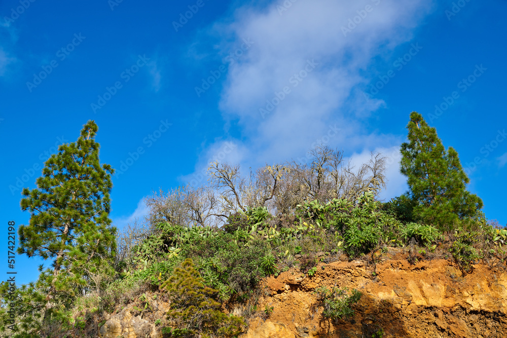 Copy space with scenic landscape of a mountain on the island of La Palma, Canary islands, Spain agai