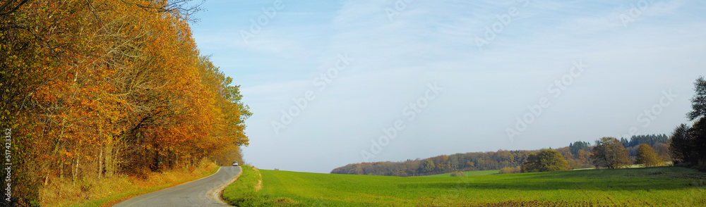 Shot of the outdoors on a summer day