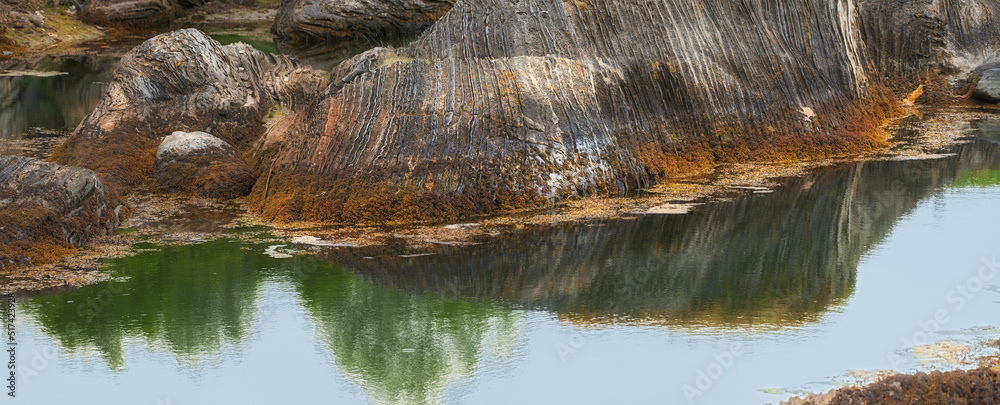 Closeup of a calm river, pond or lake with boulders or rocks in green mossy water in the mountains. 