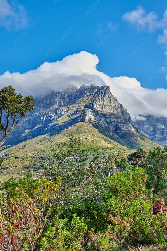 Landscape view of Table Mountain and surroundings during the day in summer. Copy space of a popular 