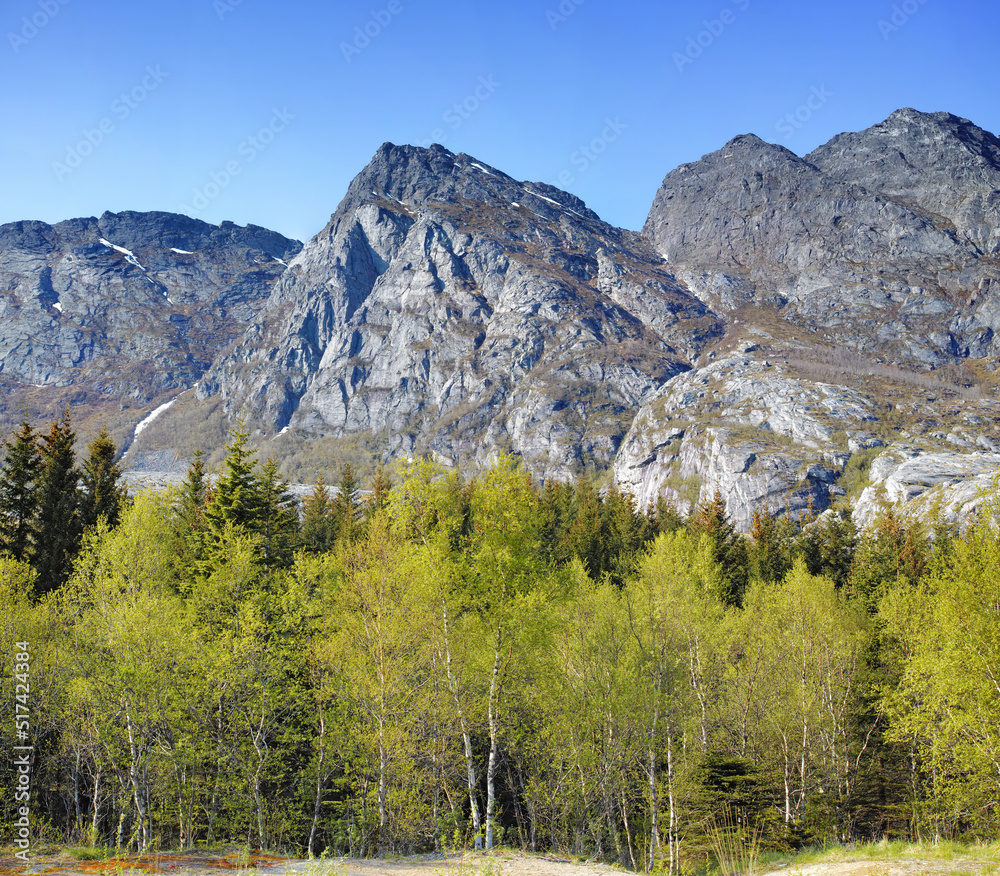 Scenic mountain landscape view with forest trees and blue sky in Norway. Beautiful scenic view of na