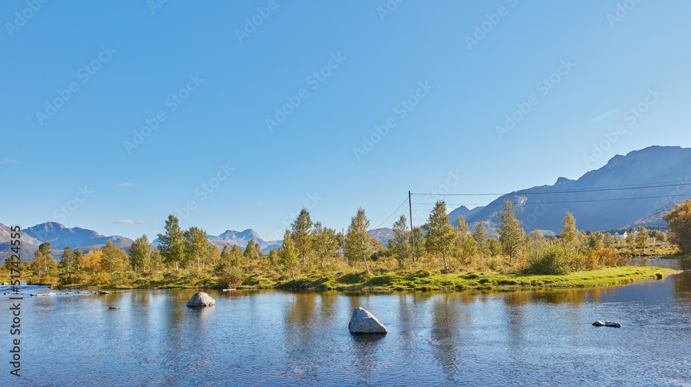 湖泊、海洋或大海的美景，蓝天和复制空间。未经修剪的树木、灌木和灌木