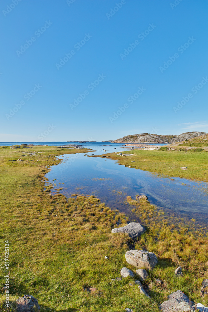 Landscape of river in lush green marsh land against a blue horizon with copy space. Calm swamp by th