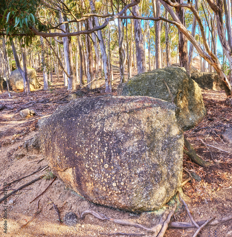 Rocks and boulders in an uncultivated, rough hiking terrain on Table Mountain, Cape Town, South Afri