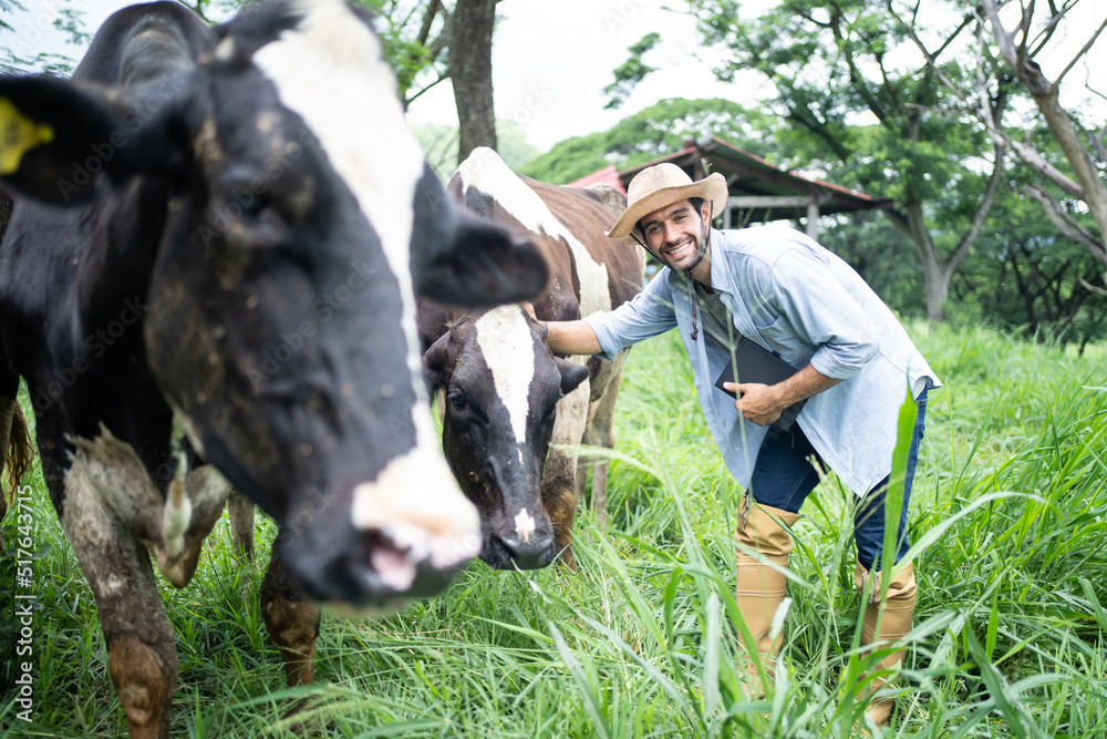 Portrait of Caucasian male dairy farmer working alone outdoors in farm