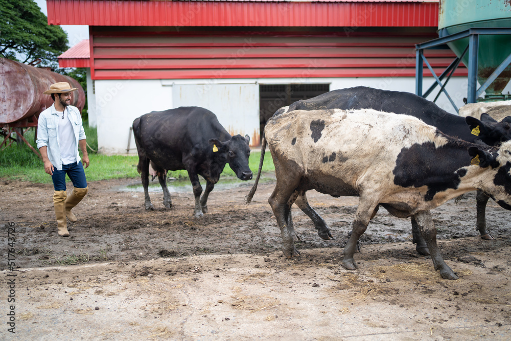 Attractive Caucasian male dairy farmer working alone outdoors in farm. 