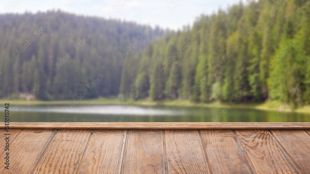 Beautiful landscape with river in forest