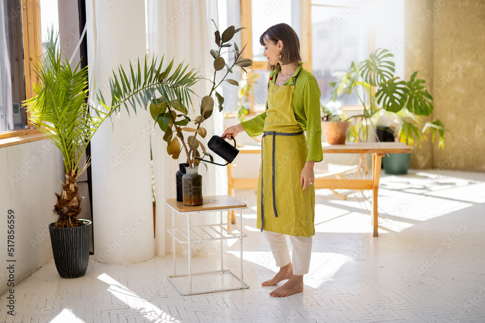 Young woman in apron as housewife or gardener takes care of green plants, watering flower pots in su