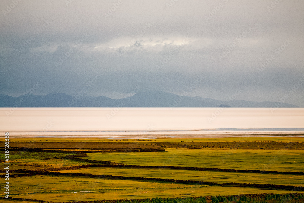 Landscape of Bolivia prairie. Nature of Altiplano, South America