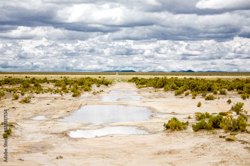 Landscape of Bolivia prairie. Nature of Altiplano, South America