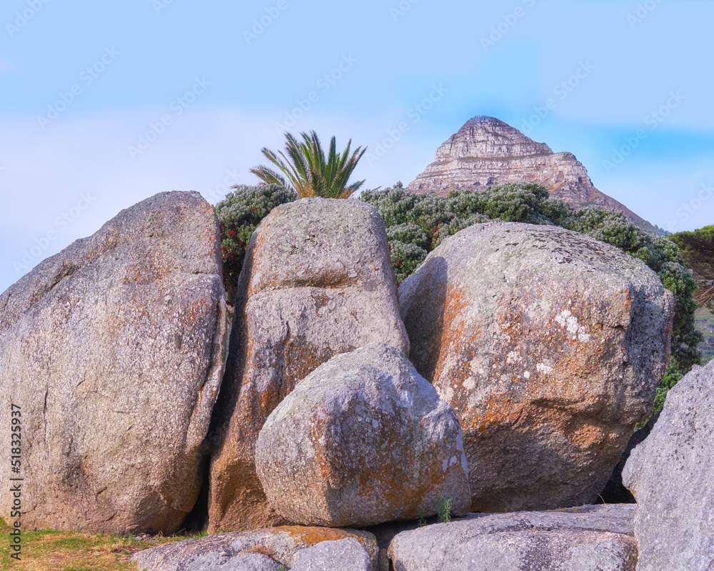 Big sedimentary rocks in front of flower trees and plants in nature on a sunny day in Spring or Summ