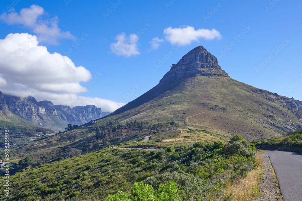 南非开普敦狮子头山和绿色的自然景观。户外徒步旅行景点智慧